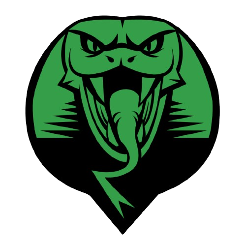 Jogo da Cobra